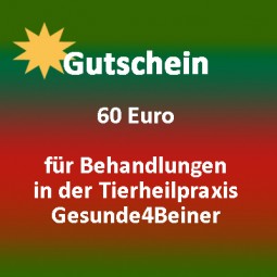 Gutschein fr Behandlungen - THP - 60 Euro