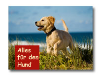 Hunde-Shop