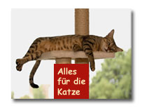 Katzen-Shop