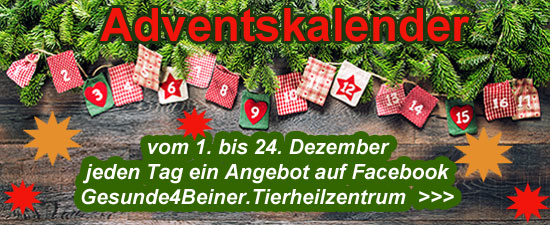 Adventskalender Facebook